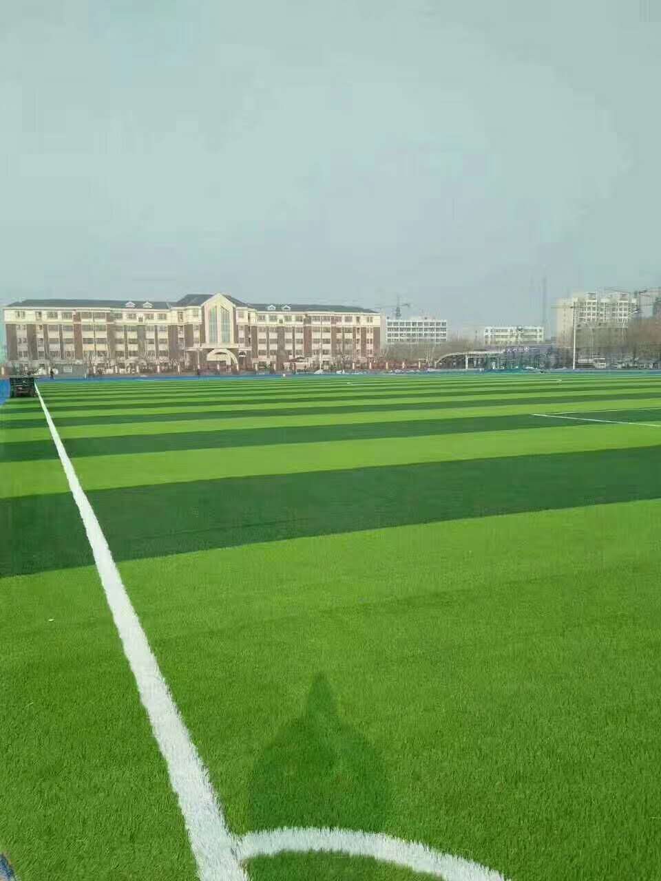 辽源市混合型塑胶跑道仿真草坪 - 价格